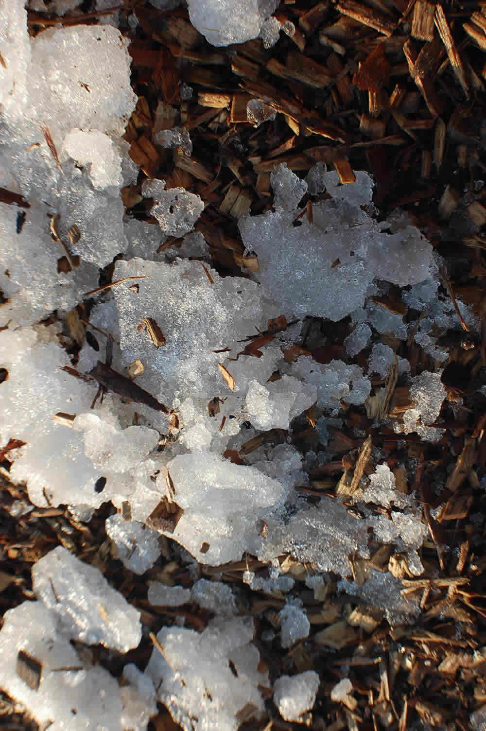 Photograph of ice on ground by Jennifer Kaplan