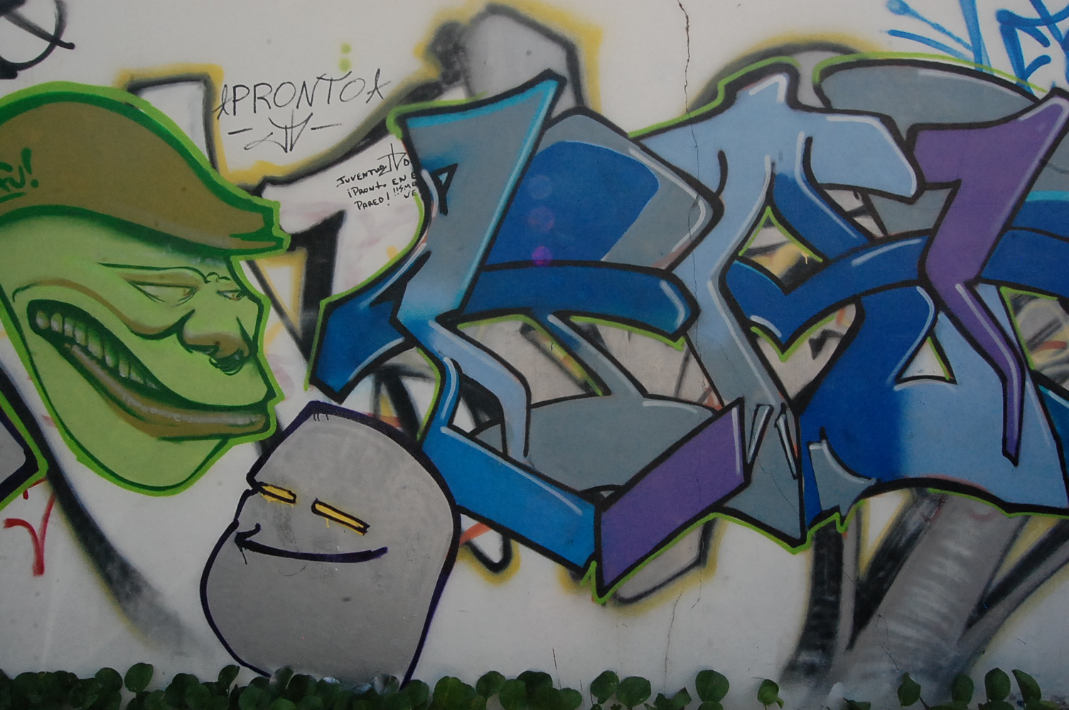 Photograph of grafitti by Jennifer Kaplan