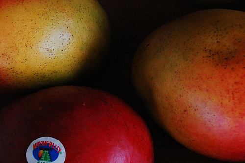 Photograph of Mangos by Jennifer Kaplan