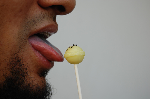 Photograph of Ant Lollipo by Jennifer Kaplan