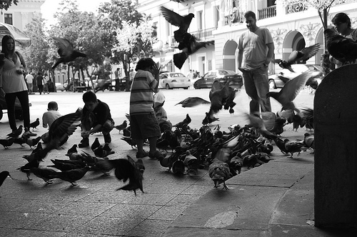 Photograph of child with pigeons by Jennifer Kaplan